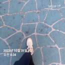 소연노래연습장 | 십일월 1