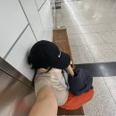 여름 코코아 겨울 수박