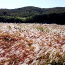 의령남강 이미지