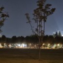 피자나라치킨공주 신길점 이미지