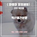 머리하러가자 이미지