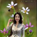 행복꽃 이미지
