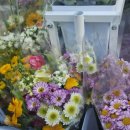 광희축사 이미지