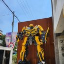 OH!ROCK! | 행궁동 고급 데이트 코스! 딤섬 맛집 얌얌차, 카페 골디스 내돈내산후기