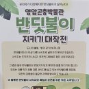 영암군 달빛축제 | 2025 영암 늦반딧불이 달빛 축제 가을 저녁 반딧불 축제 아이 후기 왕인박사유적지 주차 정보