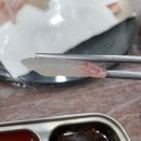 정동진회도매수산 이미지