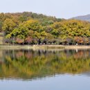 율동공원 이미지