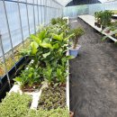 오천농장 이미지