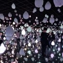 아르떼뮤지엄 이미지