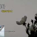 사랑의 하모니 이미지