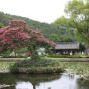 진도 운림산방 이미지