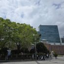 대궁삼계탕 | 부산 동아대학교 인근 보글 보글 뚝배기 삼계탕 &#39;대궁삼계탕&#39; feat. 시사부동산세미나 수업♡