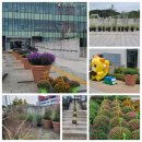 남양도서관 이미지