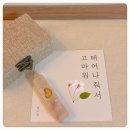 P0001 | 아기 탯줄도장 내돈내산 열두달 탯줄도장 셀프는 자신 없어서 탯줄 보낸 후기