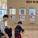 선샤인 반려견 유치원 | 경남 밀양시 아이랑 가볼만한 곳 선샤인테마파크와 반려동물지원센터, 에코팜빌리지와 네이처에코리움...
