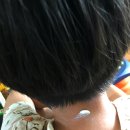 오투아이 이미지