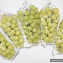 천우농장 2농장 이미지