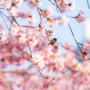 이천신하교회 경로식당 | 시골집임대 시골빈집임대 촌집임대 농가주택임대 빈집 월세 전세 현황 정보!! 경기도 강원도 경남 경북...