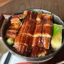 56 | [강릉 맛집] 메시56 특 카이센동·우나기동 솔직후기｜메뉴 가격, 웨이팅, 주차