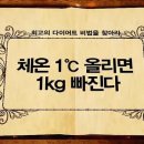 쉽게하는다이어트 이미지