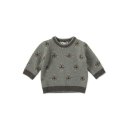 베네베네 이미지