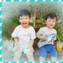 세준푸드 농업회사법인 주식회사 네이버블로그