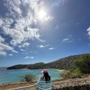 하와이 :: 하나우마베이 예약 준비물 부터 후기까지_비거주자 옵션 예매🏄‍♂️ 하와이 스노클링 스팟 추천...