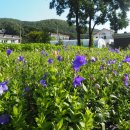 평화1리 이미지