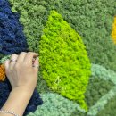 스칸디아모스아트(A) 이미지