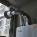 사파동250 이미지