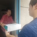 스텔라토 뉴스웨이브