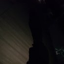 기아셀프세차타운 이미지