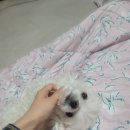 마카오PC방 | 꽉 채운 5월 일상 기록 여행을 일상같이