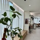 GS25 가좌진주점 | 진주 경상대 미용실 어테인헤어 레이어드컷은 무조건 가윤디자이너 커트 솔직후기