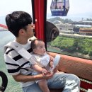 아라마루펜션 | 5개월 아기와 함께 사천 케이블카타고 아라마루 아쿠아리움 하식이, 슈빌 후기