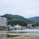 꽃동산김밥