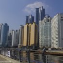 동백공원 입구 이미지