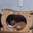 이진탁피부과의원 이미지