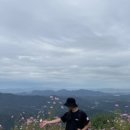 함백농장 이미지