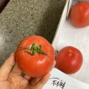토마토 파스타 소스 만들어봄(매운ver) · 블루베리잼, 패션후르츠청 만들어봄(자일로스, 비정제원당ver...