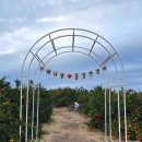 금오름농장 이미지