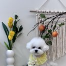 올데이 그루밍 이미지