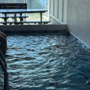 팰리스1470 이미지