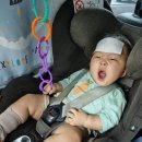 건우약국 이미지