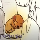 울림 반려견 교육센터 이미지