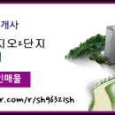 초전버스정류장 이미지
