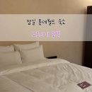 오로시에 관광호텔 | 잠실 롯데월드 근처 3성급 가성비 숙소 추천 재방문 후기, 오로시에 호텔