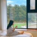 치즈바다 이미지