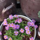 새신바람 이미지