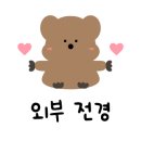 소나무황토빌